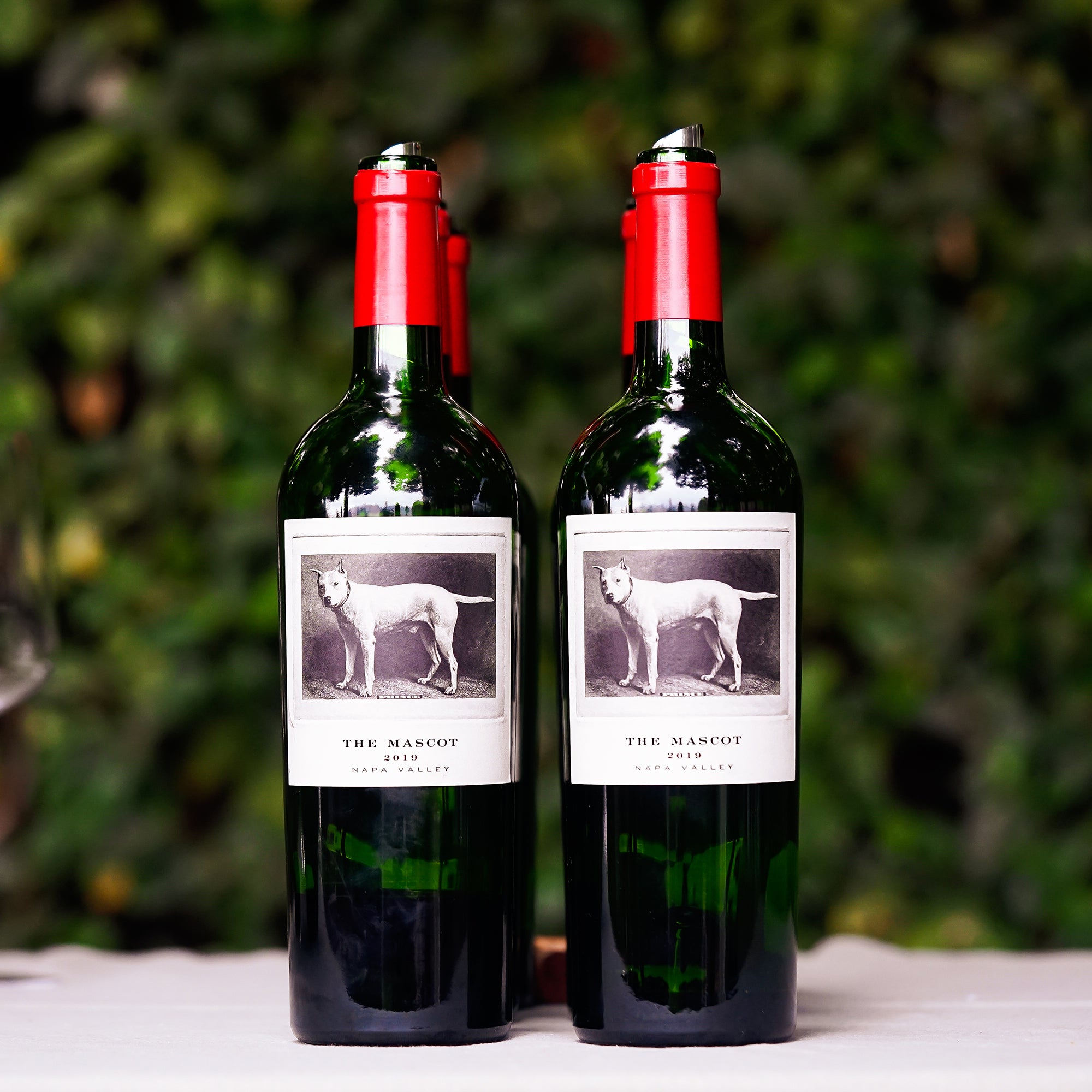 ワイン The mascot 2018 Napa valley red wine The Mascot 2018 Red Napa Valley