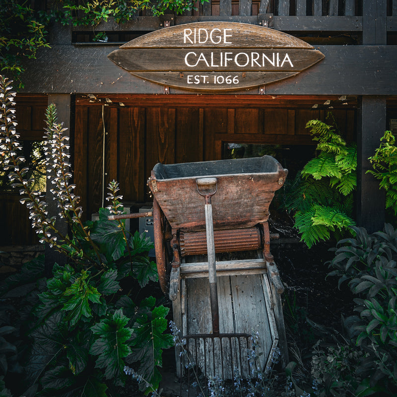 Ridge Vineyards