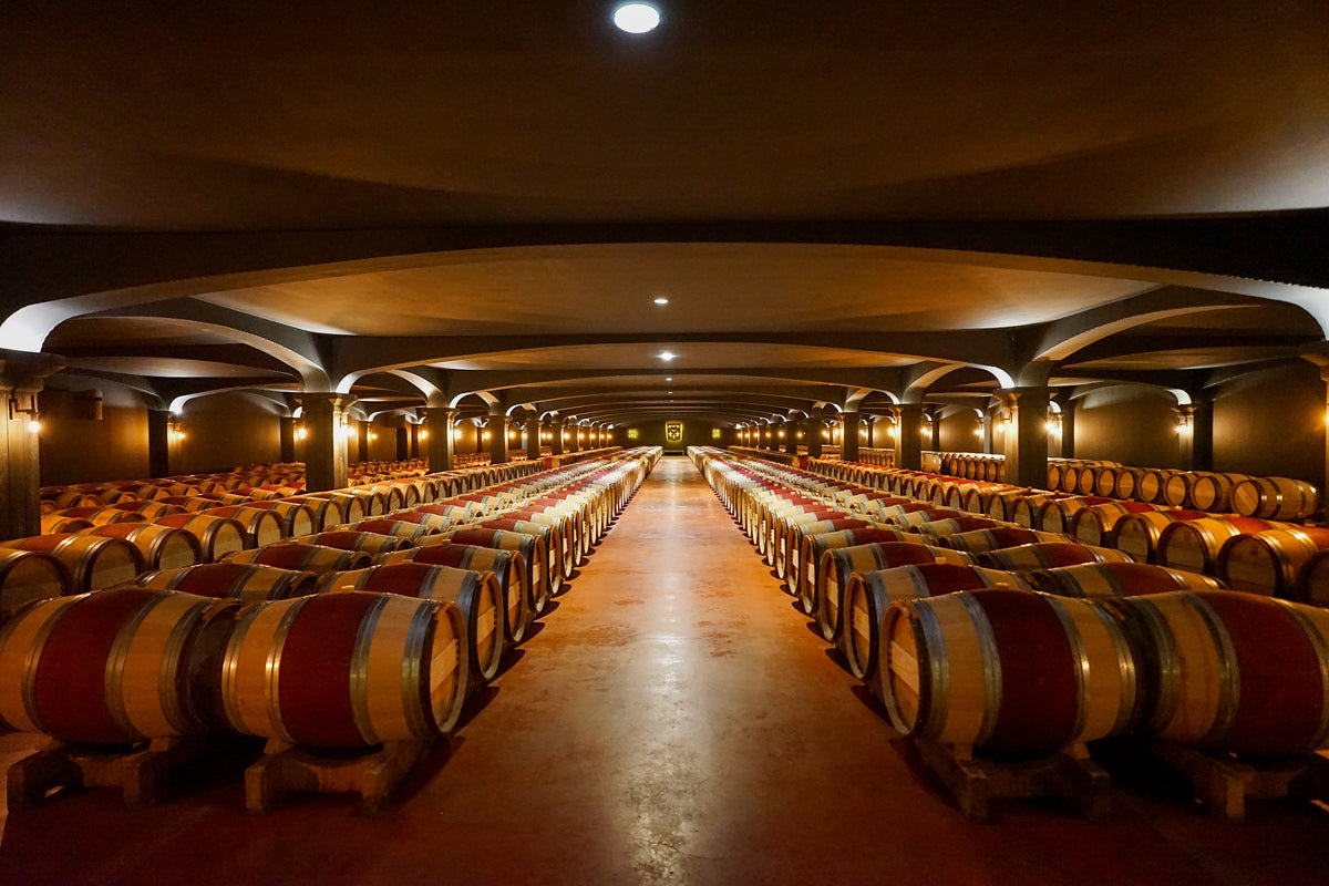 Long view down the columned barrel cellar at Château Smith Haut Lafitte, Pessac-Léognan