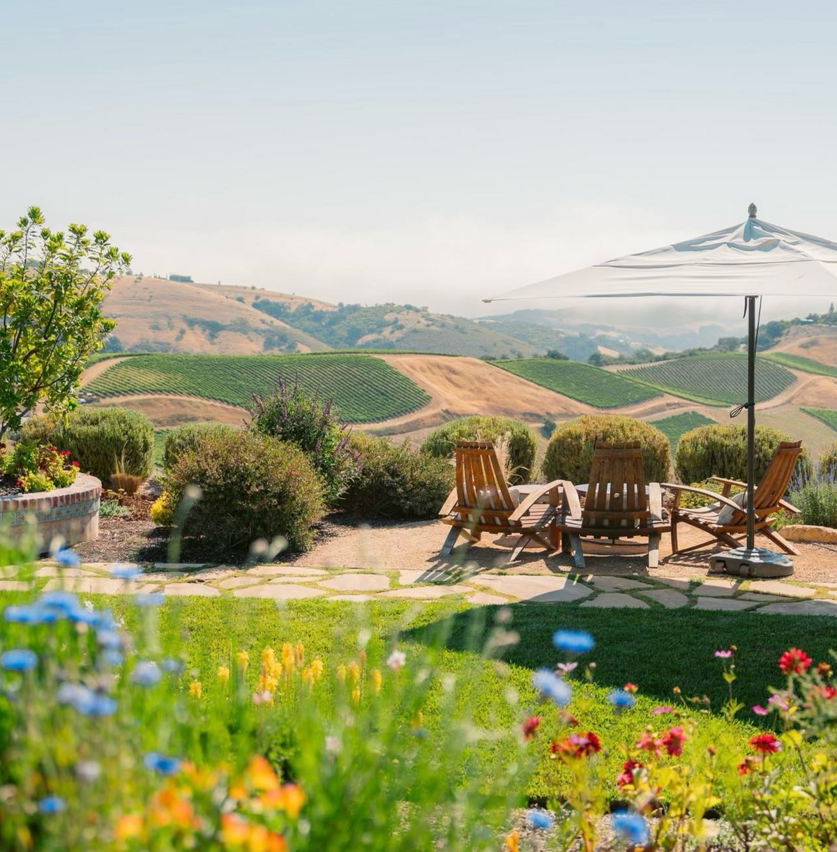 DAOU Mountain