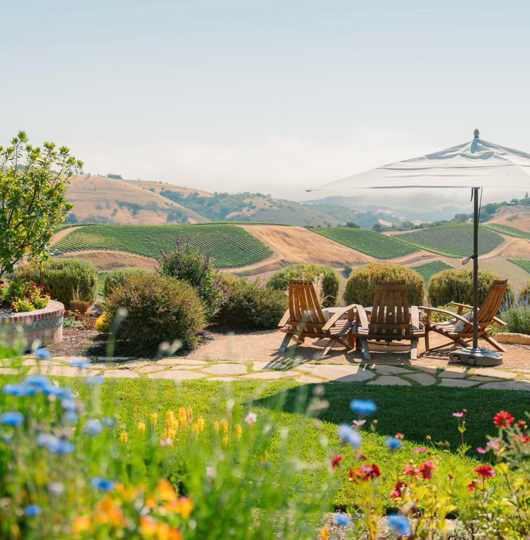 Photo source: Daou Vineyards