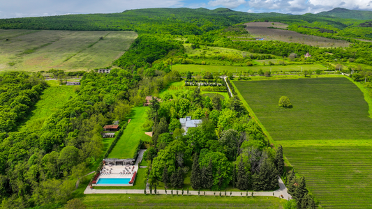 Aerial view of Vazisubani Estate's manor house, gardens and vineyards in Kakheti's Alazani Valley