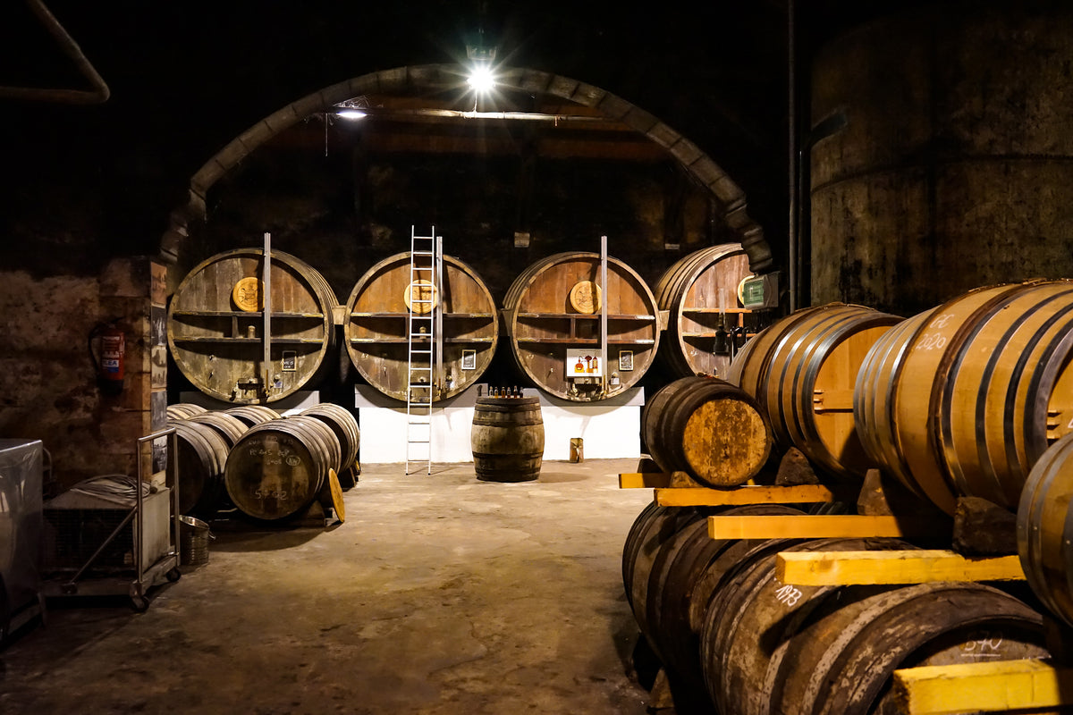 Giant tonneaux and stacked barrels in the vaulted ageing cellar at Normandin-Mercier, near La Rochelle