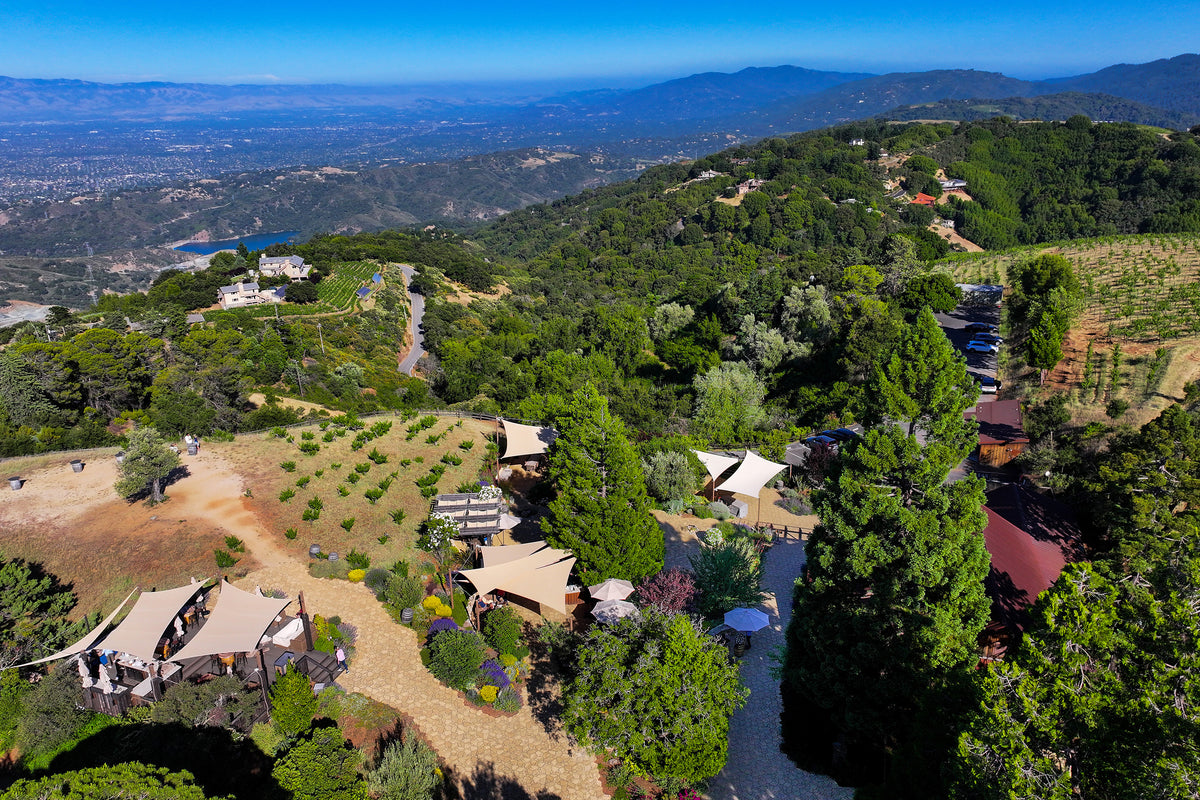 Ridge Vineyards, Monte Bello