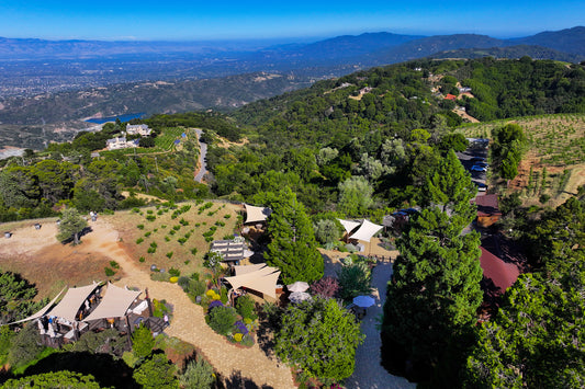 Ridge Vineyards, Monte Bello