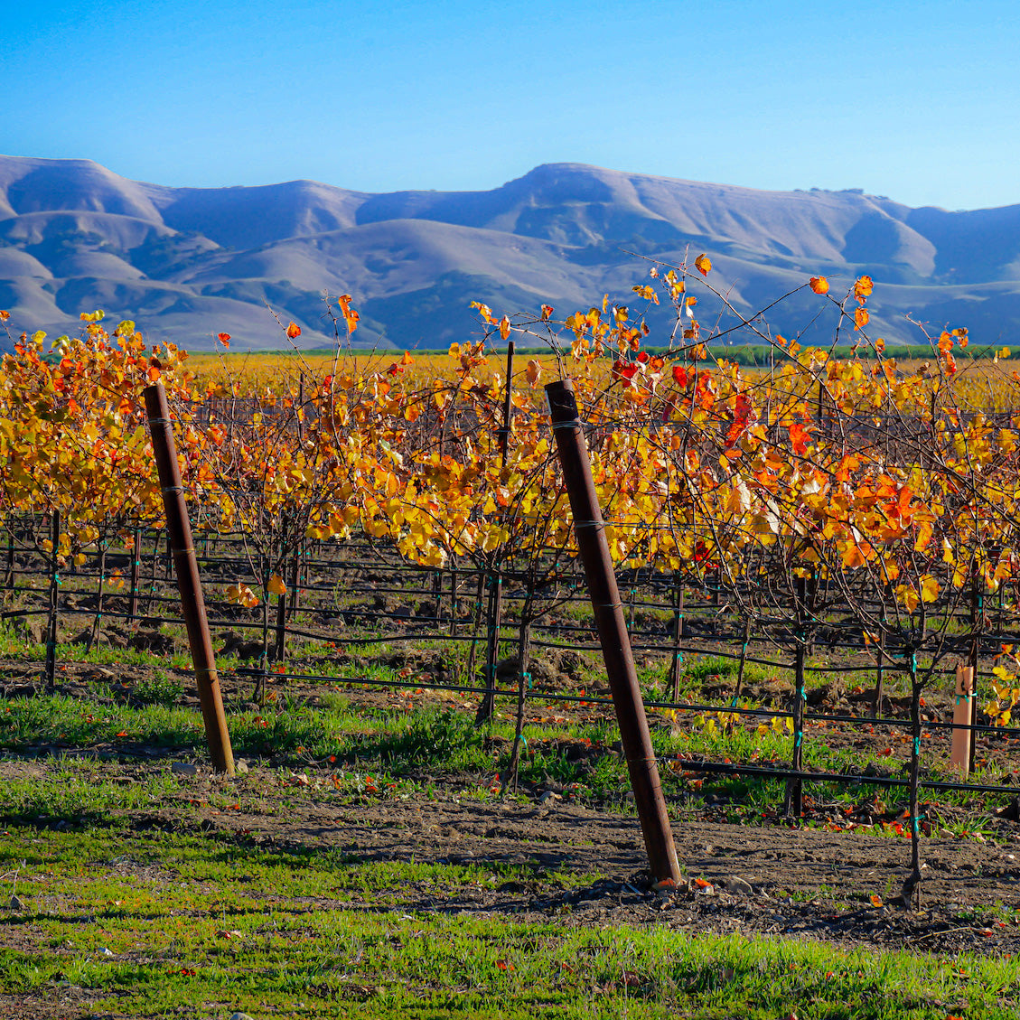San Luis Obispo