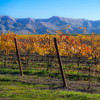 San Luis Obispo
