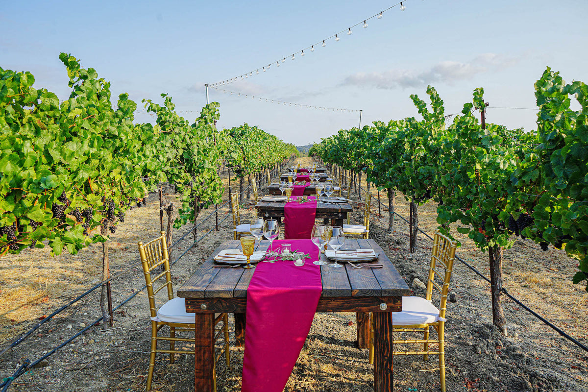 Tolosa Winery, Edna Valley