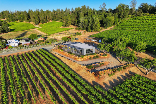 Aerial view of a modern winery among vine rows and oak woodland in Amador County's Shenandoah Valley