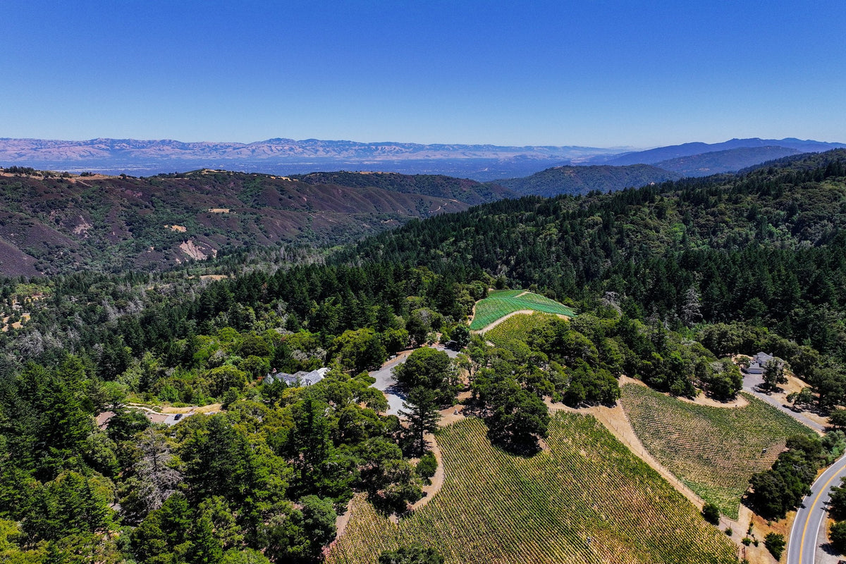 Aerial view of Rhys Vineyards' Skyline vineyard on a ridge above the forested Santa Cruz Mountains