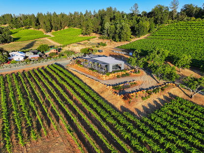 Shenandoah Valley winery from above