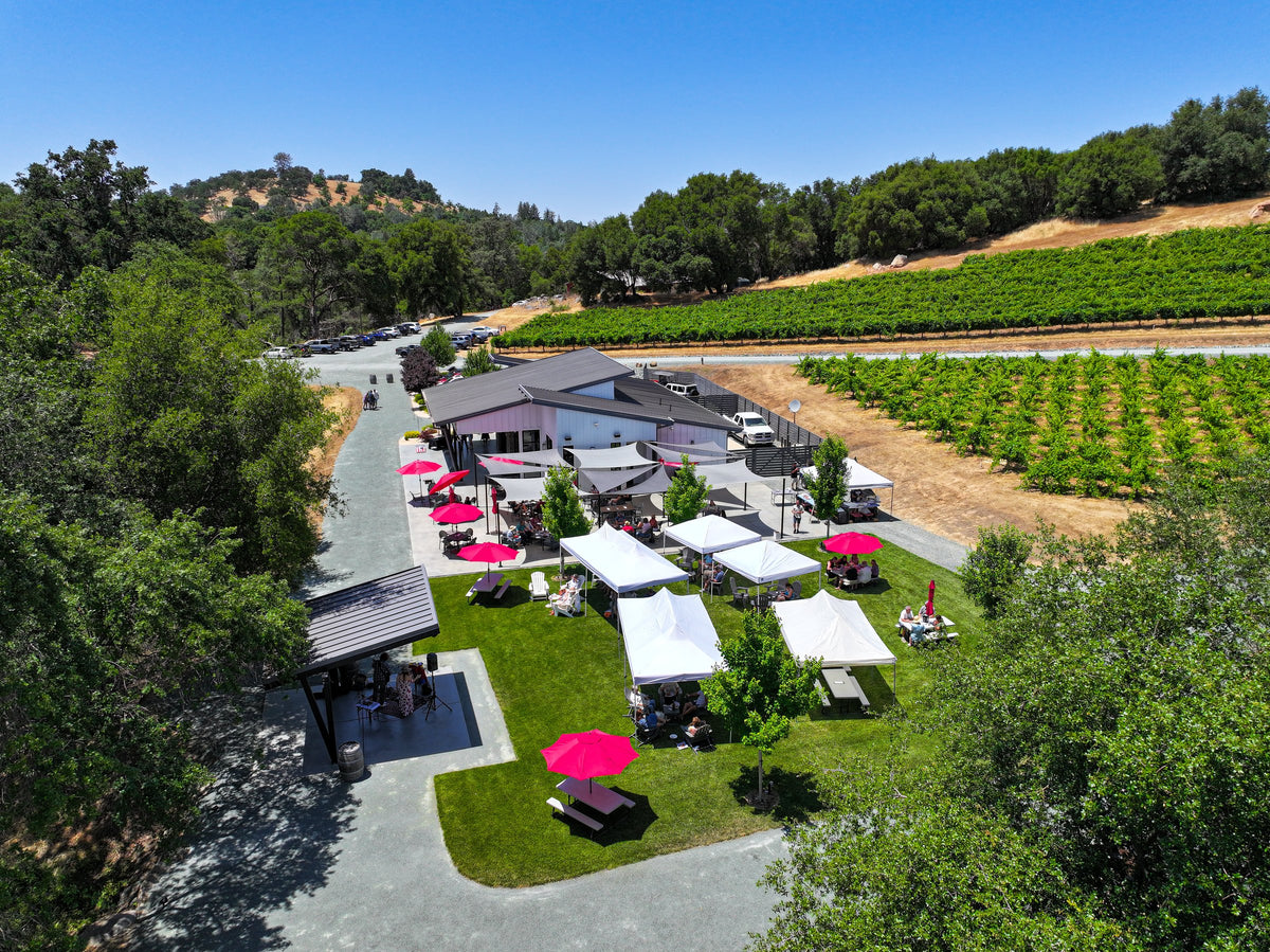 Tasting patio, Amador County