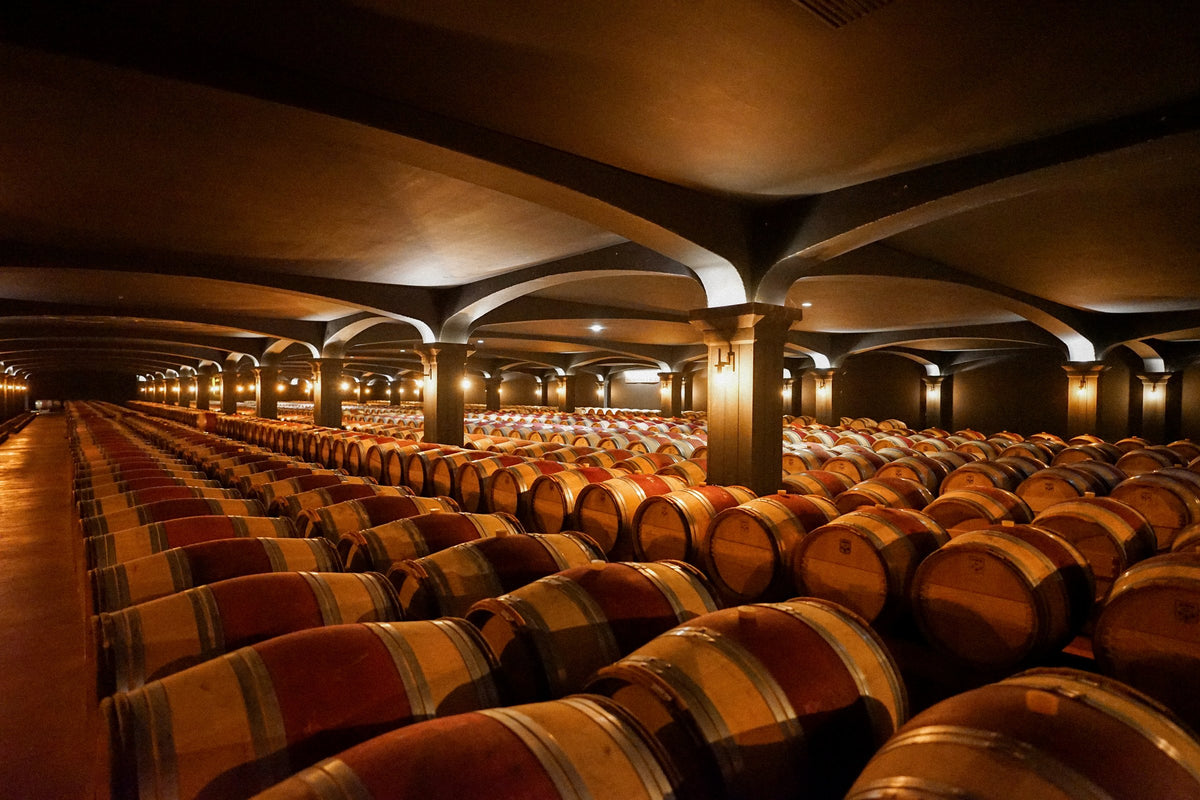 Chateau Smith Haut Lafitte barrel cellar