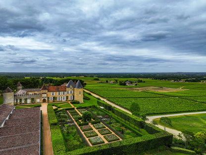 Chateau d'Yquem from above
