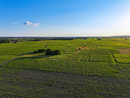 Chateau de Miniere vineyards from above
