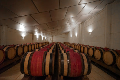 Domaine des Huards cellar