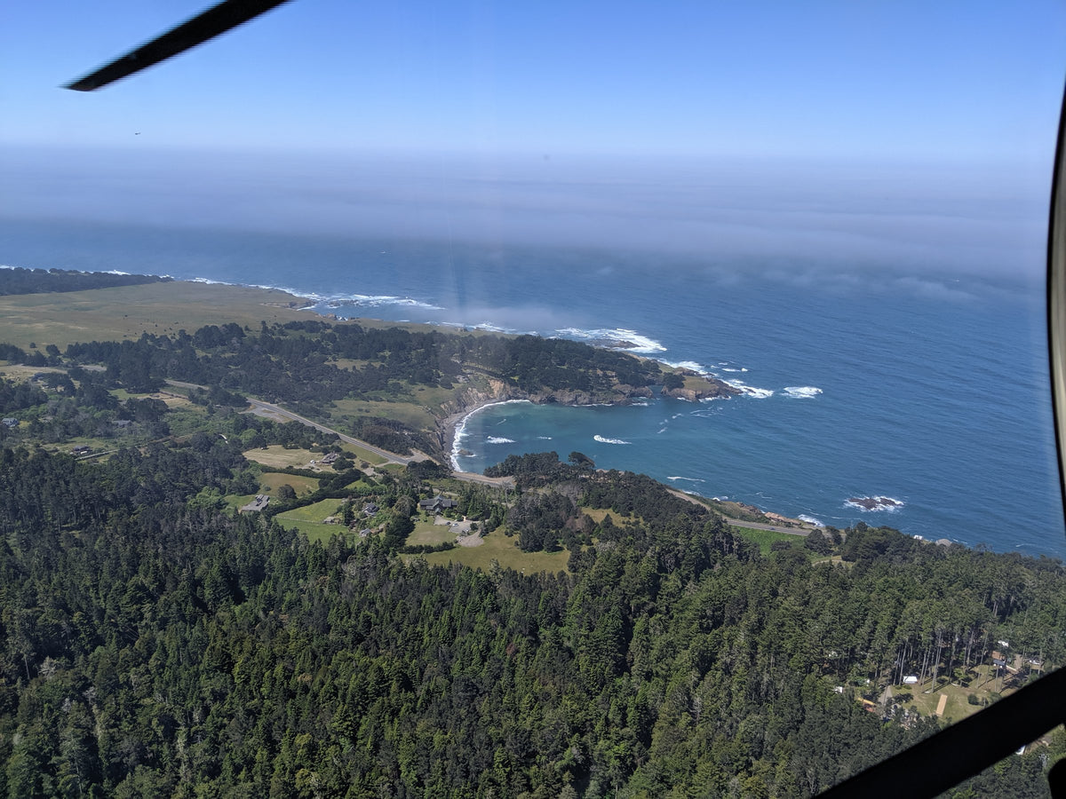 Mendocino coast from the air