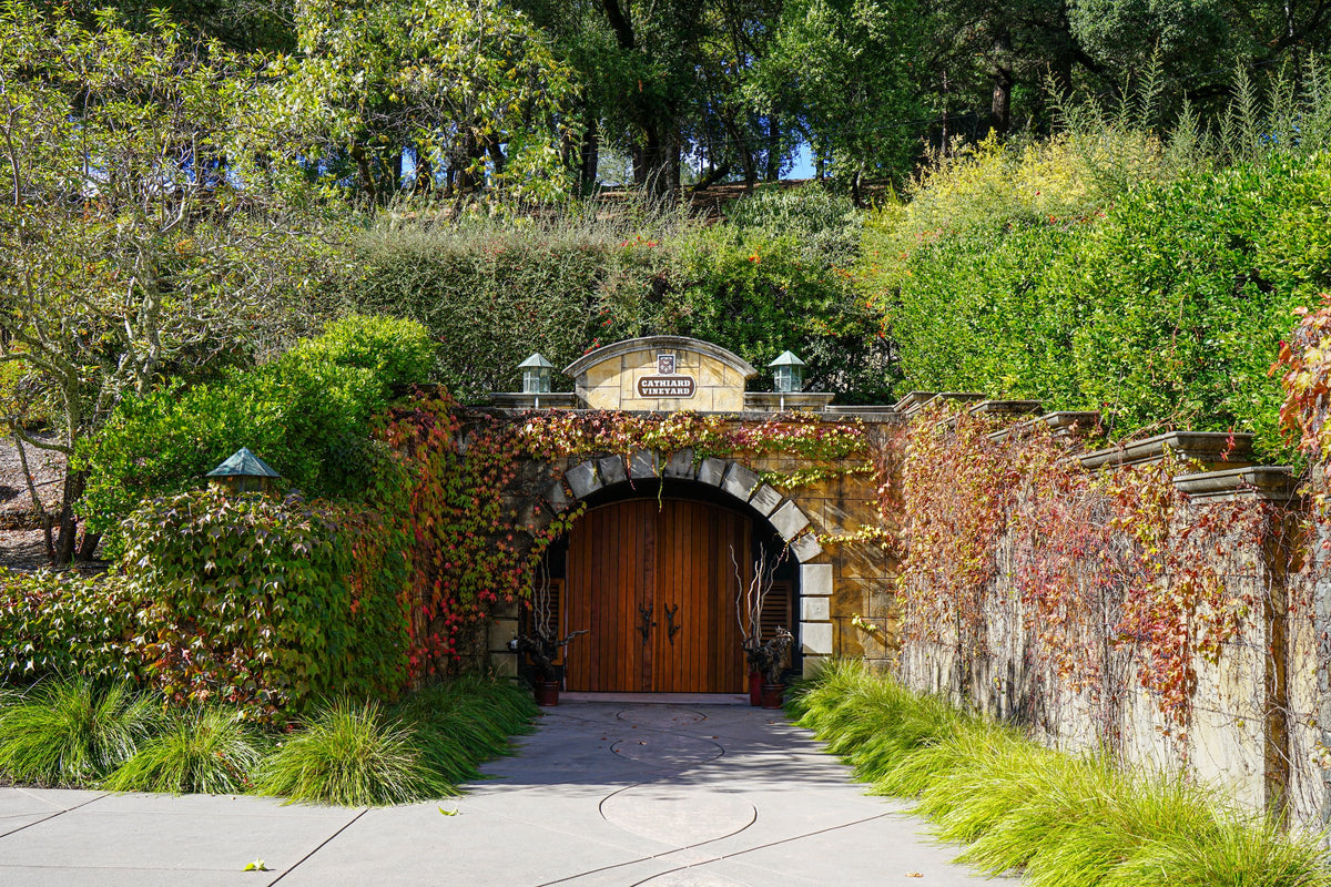 Cathiard Vineyard cave entrance