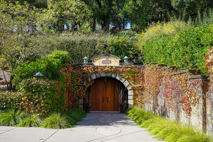 Cathiard Vineyard cave entrance