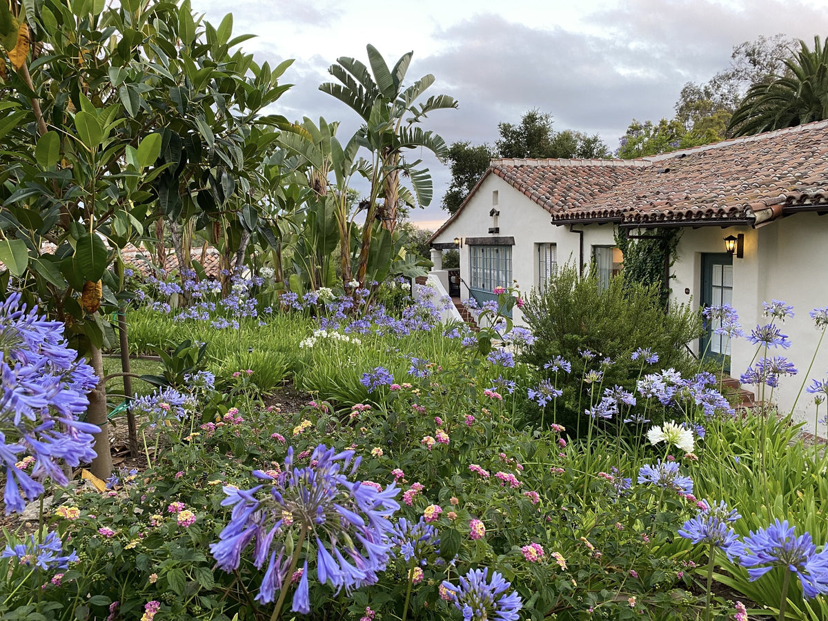 Belmond El Encanto gardens