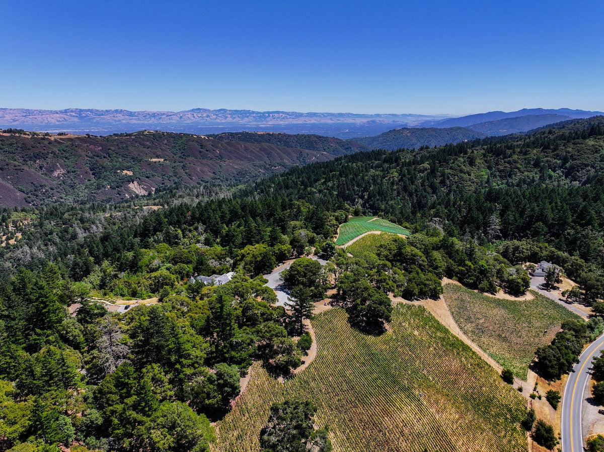 Rhys Vineyards from above