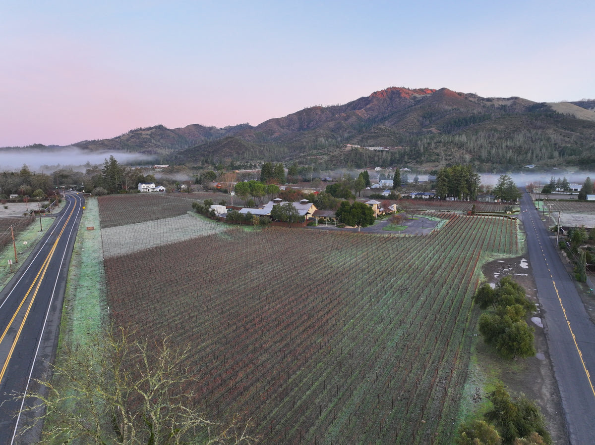 Sonoma Valley from above