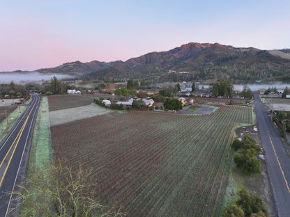 Sonoma Valley from above