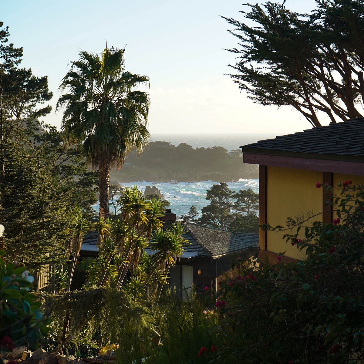 Palms and cypress framing the Pacific below Hyatt Carmel Highlands, Carmel